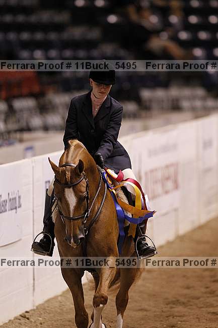Proof 11buck_5495