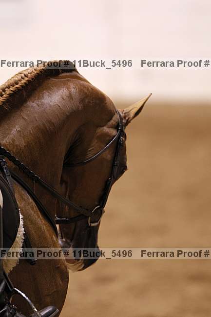 Proof 11buck_5496