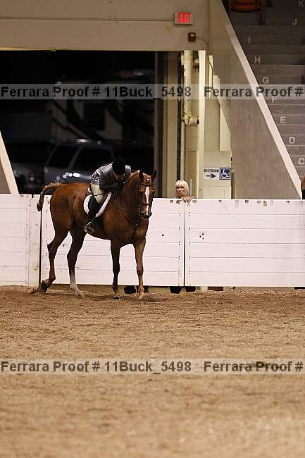 Proof 11buck_5498