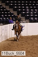11buck_5504 proof