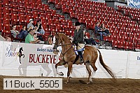 11buck_5505 proof