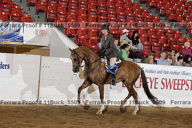 Proof 11buck_5509