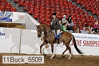 11buck_5509 proof