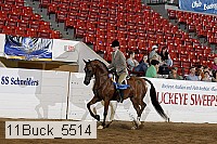 11buck_5514 proof