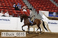 11buck_5515 proof