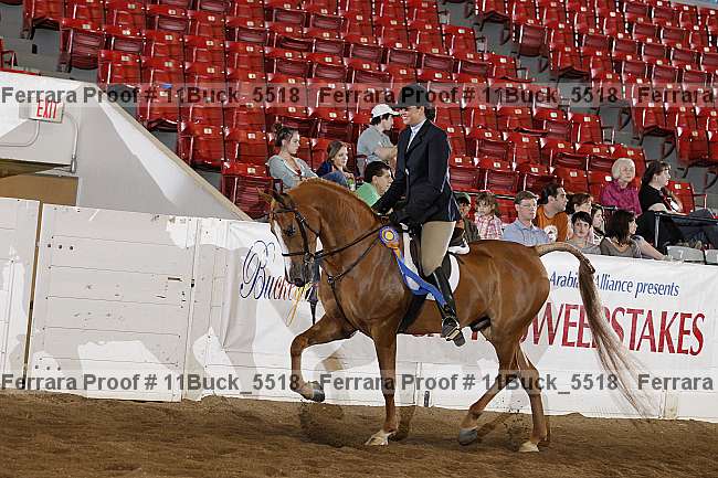 Proof 11buck_5518