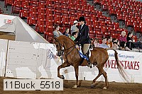 11buck_5518 proof