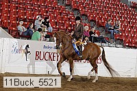11buck_5521 proof