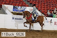 11buck_5526 proof