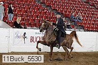 11buck_5530 proof