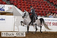 11buck_5536 proof