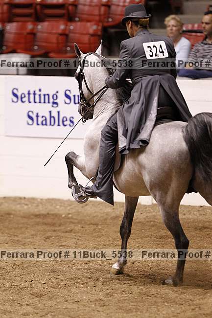 Proof 11buck_5538