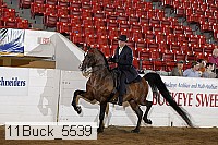 11buck_5539 proof