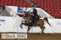 11buck_5542 proof