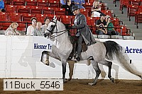 11buck_5546 proof