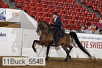 11buck_5548 proof