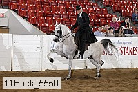 11buck_5550 proof