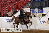 11buck_5553 proof