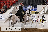 11buck_5554 proof