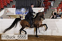 11buck_5555 proof