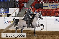 11buck_5556 proof
