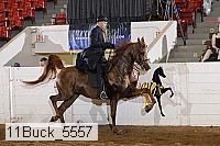11buck_5557 proof