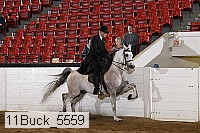 11buck_5559 proof