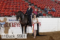 11buck_5561 proof