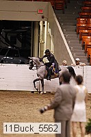11buck_5562 proof