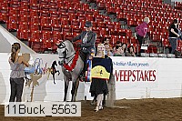 11buck_5563 proof