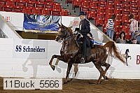 11buck_5566 proof