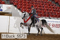 11buck_5573 proof