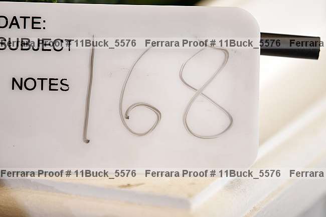 Proof 11buck_5576