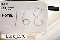 11buck_5576 proof