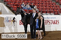 11buck_5586 proof