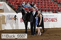 11buck_5587 proof