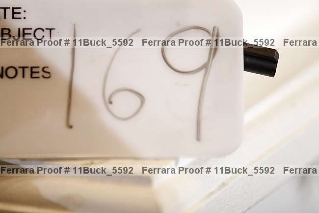 Proof 11buck_5592