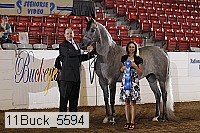 11buck_5594 proof