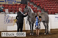 11buck_5595 proof