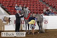 11buck_5599 proof