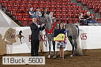 11buck_5600 proof