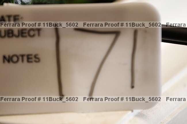 Proof 11buck_5602