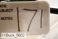11buck_5602 proof