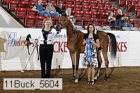 11buck_5604 proof