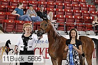 11buck_5605 proof