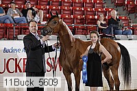 11buck_5609 proof