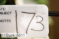 11buck_5611 proof