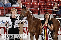 11buck_5614 proof