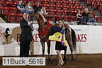 11buck_5616 proof