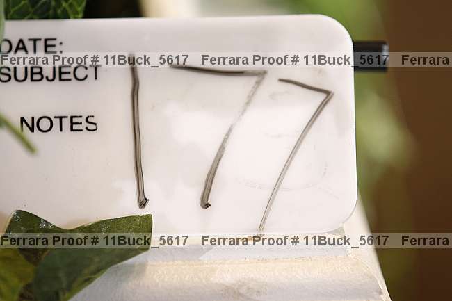 Proof 11buck_5617